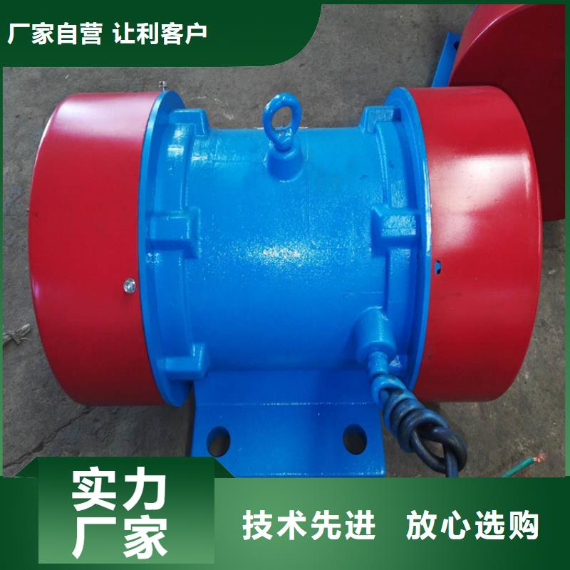 防爆振动电机-普通卧式振动电机支持大批量采购