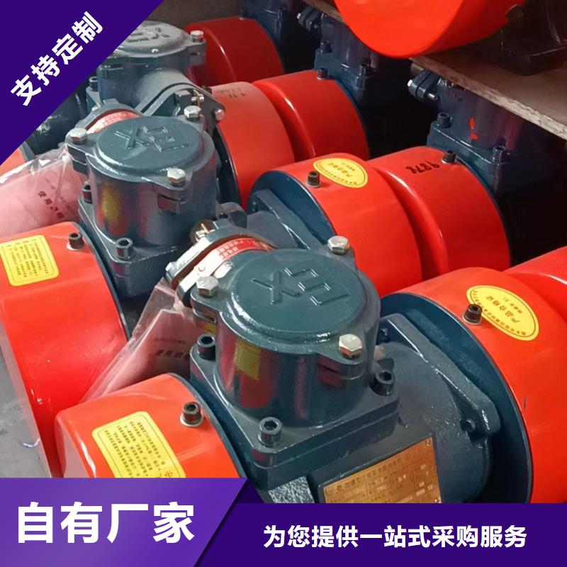 防爆振动电机【振动筛】多种优势放心选择