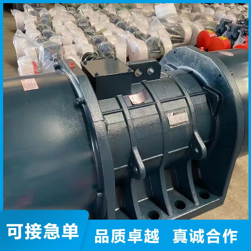 防爆振动电机振动筛厂家来图来样定制