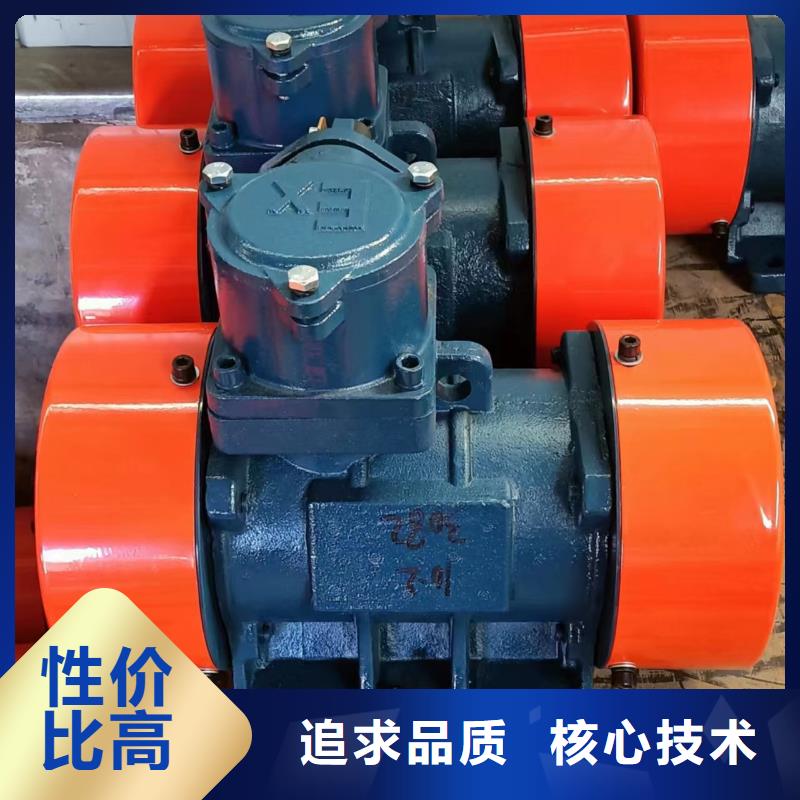 防爆振动电机好品质用的放心