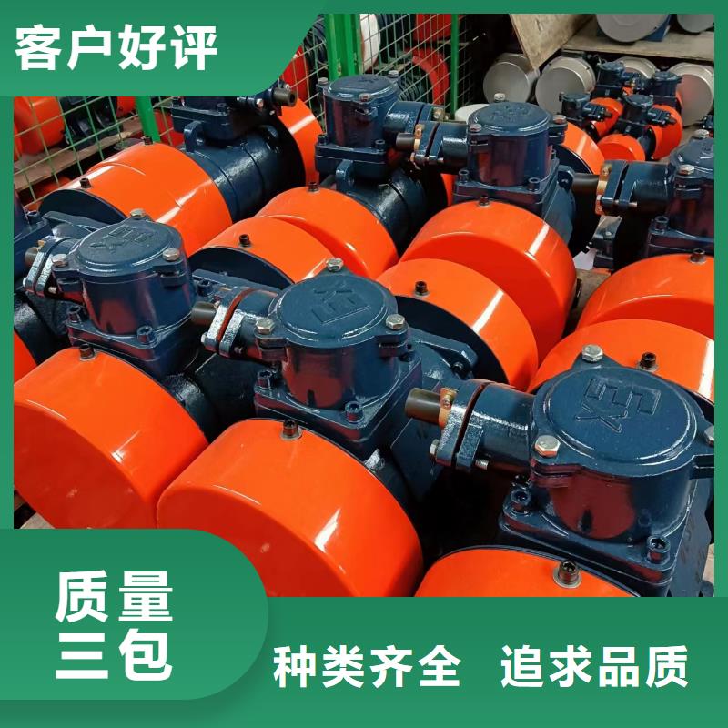 防爆振动电机-振动筛高质量高信誉