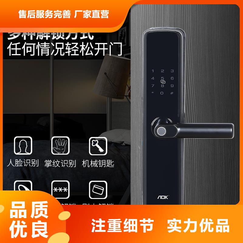 智能锁,密码锁生产厂家专业设计