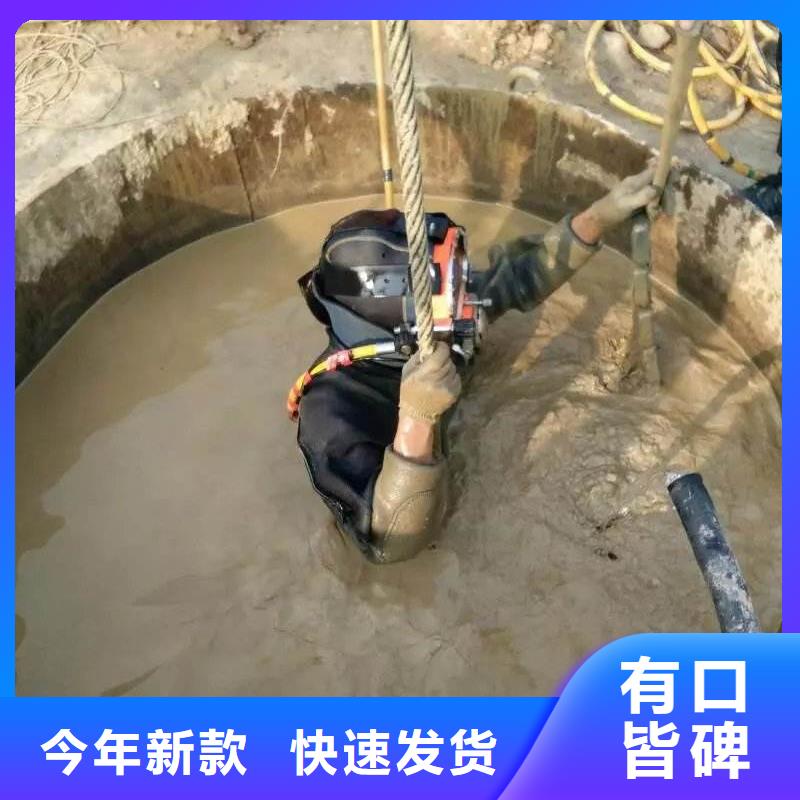 水下检测录像桥梁桩基
免费报价