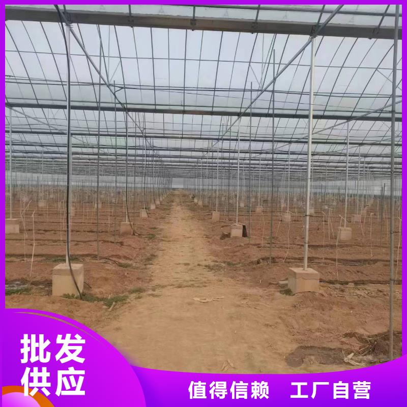 温室大棚,方矩管实体厂家