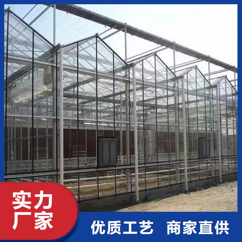 花卉大棚樱桃加工