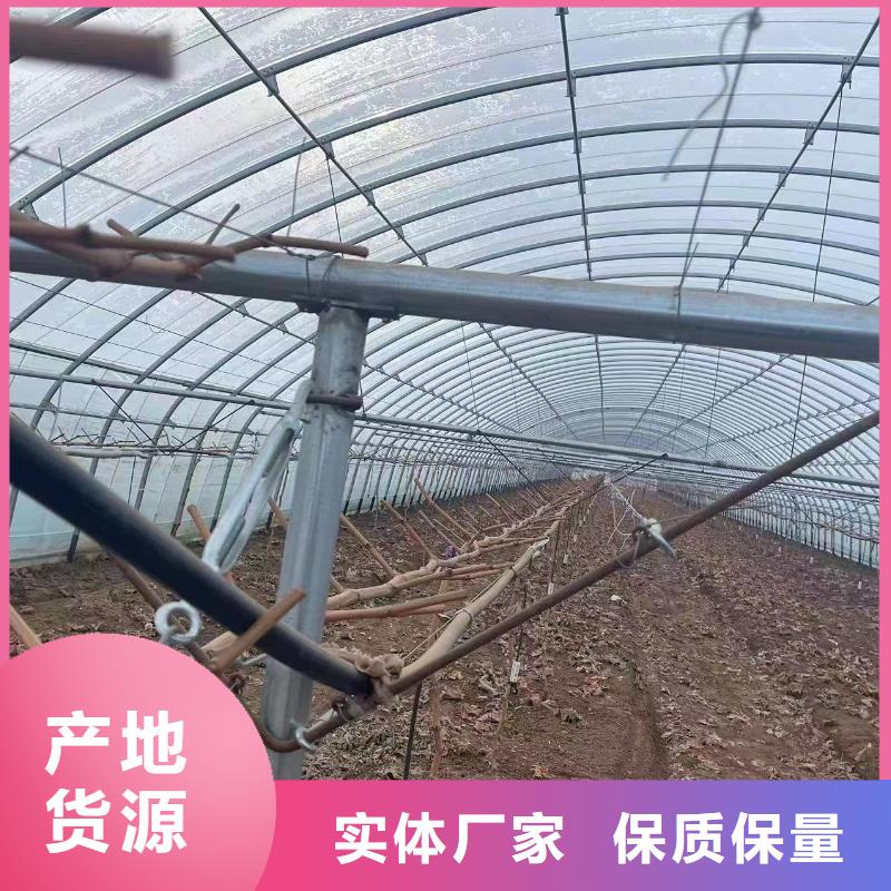 猪舍厂家生产