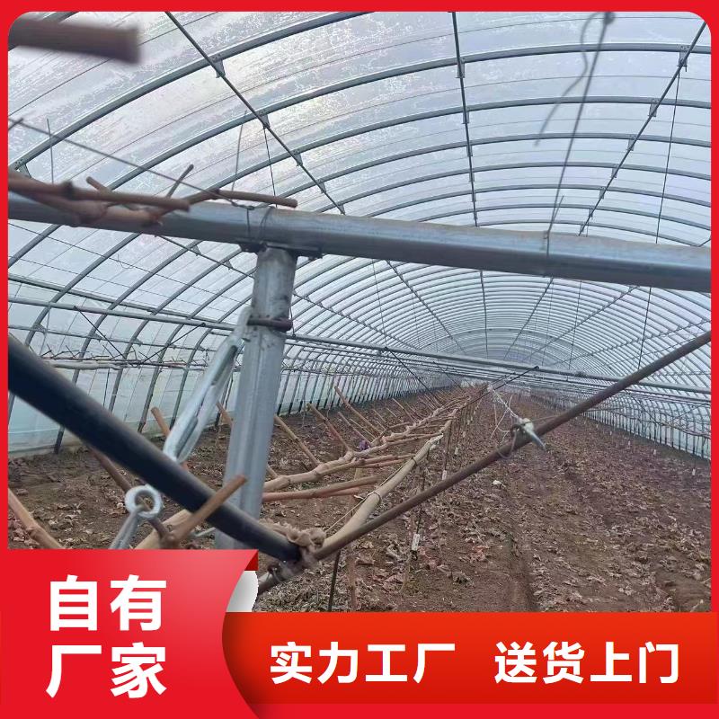 【薄膜连栋温室】【避雨棚】安装