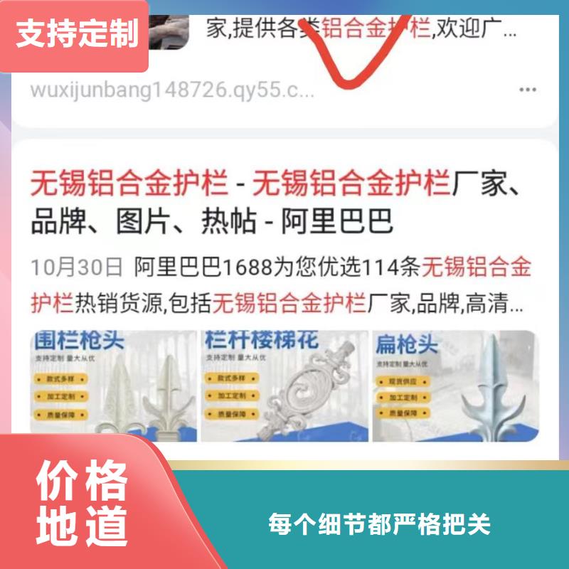 软件网站制作开发收录快