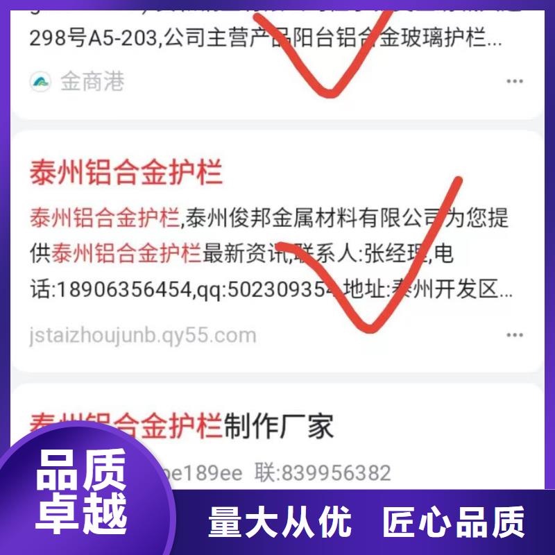 软件网站制作开发收录快