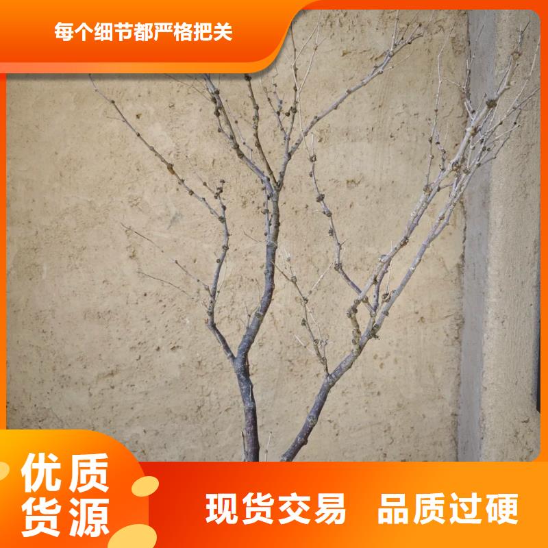 稻草泥施工项目