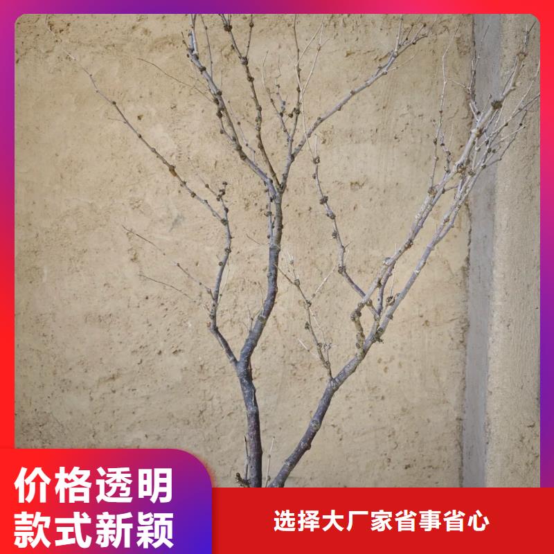 稻秸秆漆源头厂家，拿货批发价