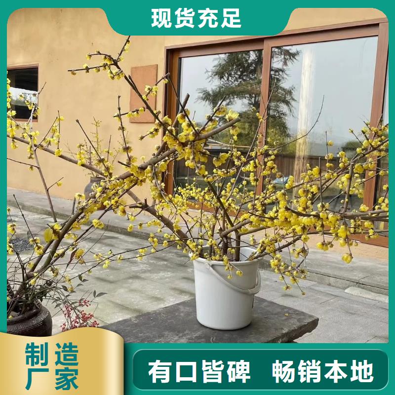 稻壳漆生产厂家