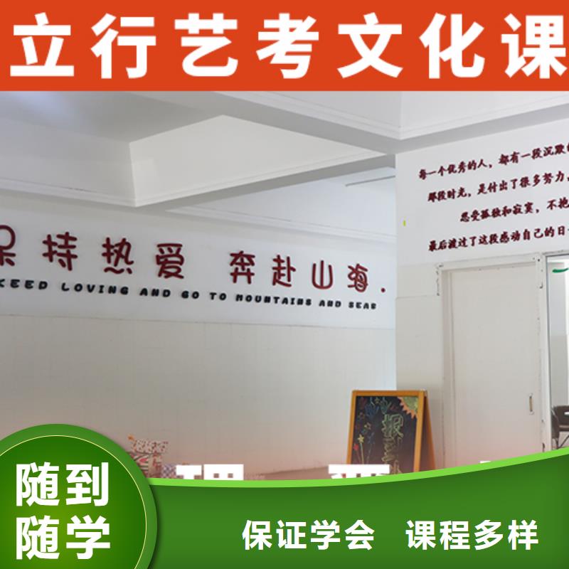 艺考文化课培训【高考小班教学】老师专业
