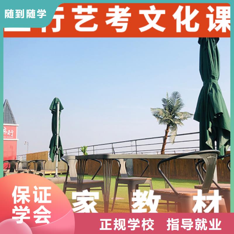 艺考文化课辅导艺考辅导机构学真技术