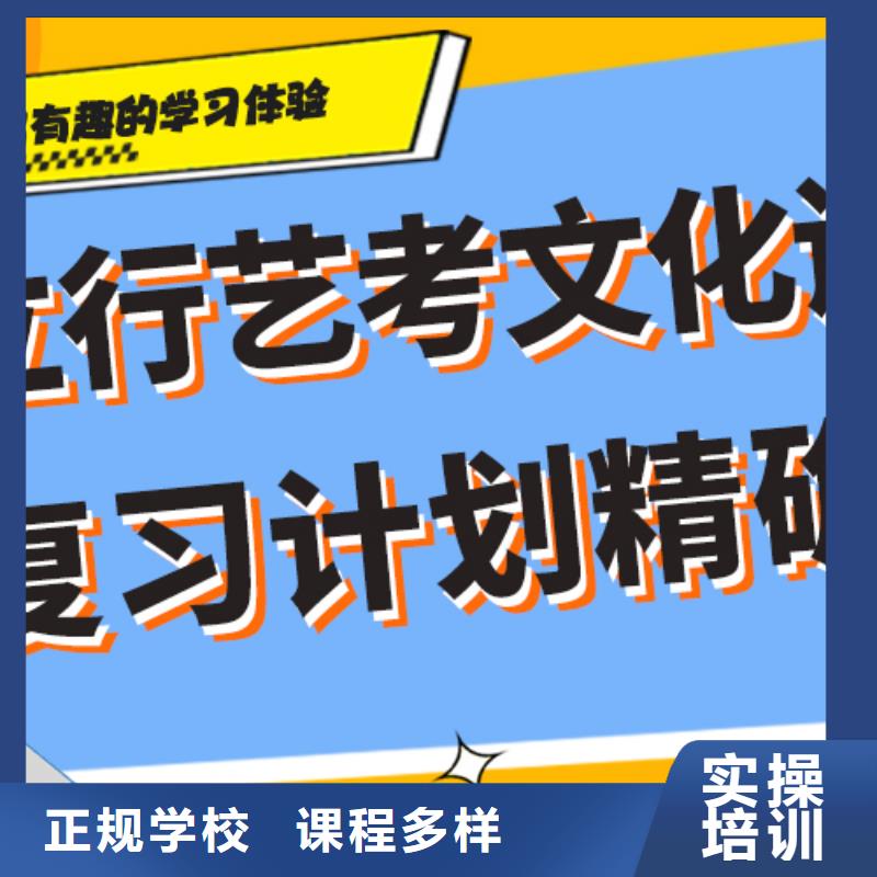 艺考生文化课高考语文辅导正规学校