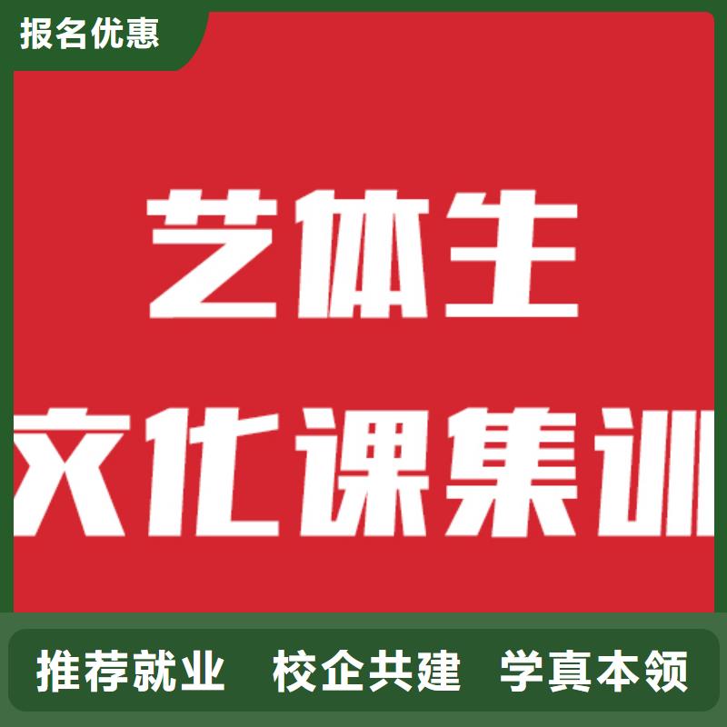 艺考生文化课艺考文化课培训课程多样