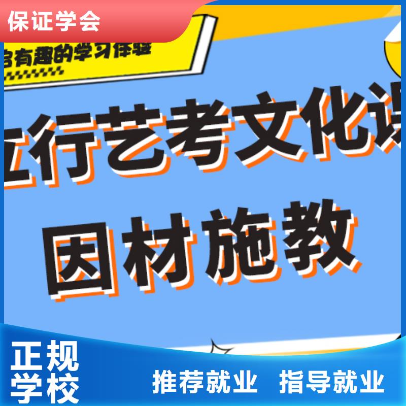 艺术生文化课艺考文化课集训班师资力量强