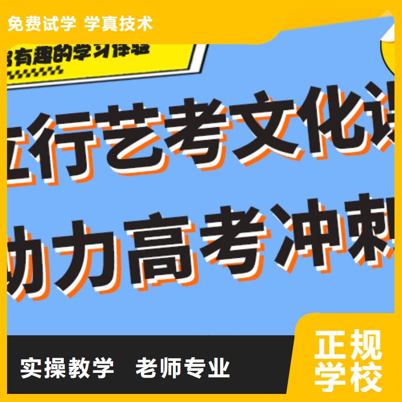 艺术生文化课艺考培训机构正规学校