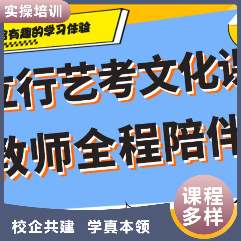 【艺术生文化课高考语文辅导技能+学历】