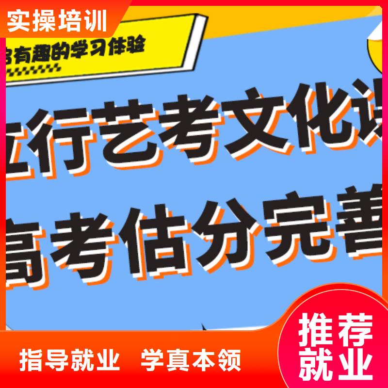 艺考文化课冲刺班
哪一个好?