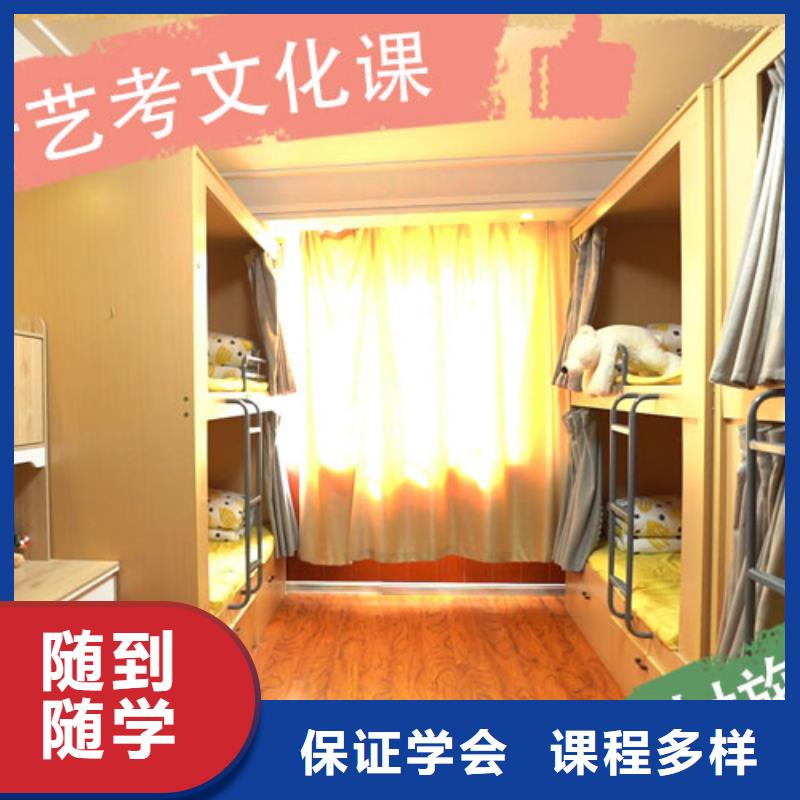 艺考生文化课高中寒暑假补习老师专业