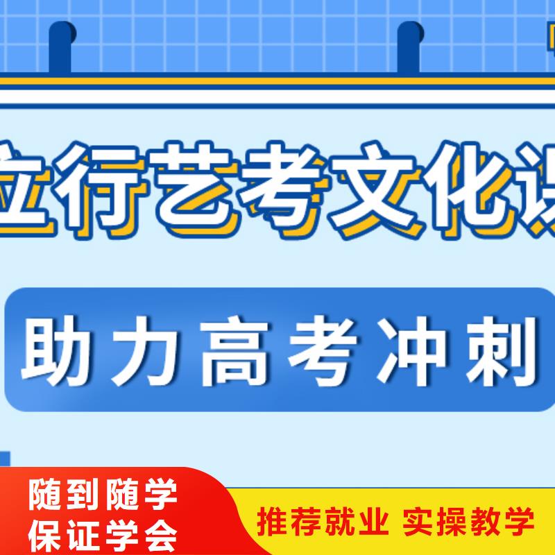 艺考文化课艺术生文化补习免费试学