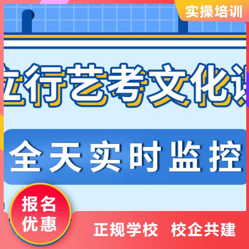 比较好的艺考生文化课