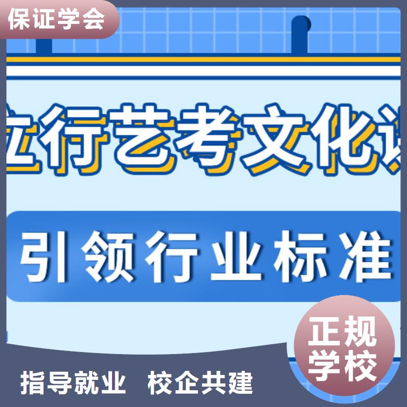 艺考文化课艺术生文化补习免费试学