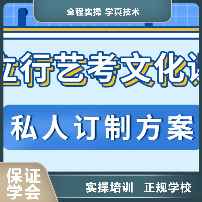 艺考文化课艺术生文化补习随到随学