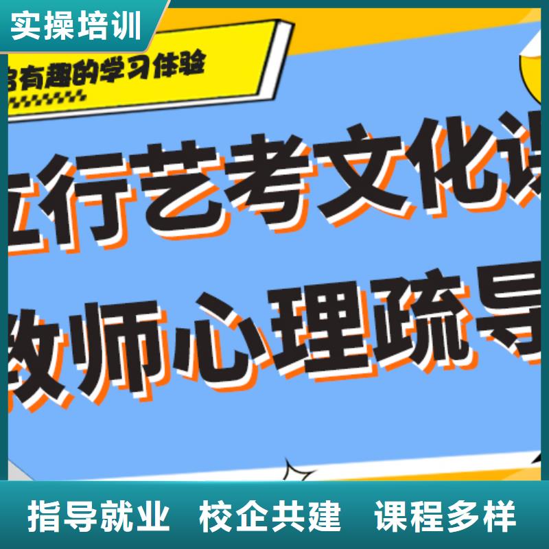 有几个艺体生文化课集训冲刺哪个学校好