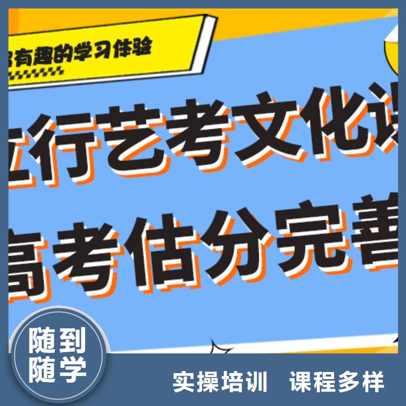 艺考文化课编导班手把手教学