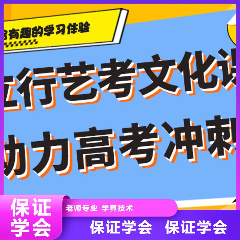 艺考文化课艺考辅导机构老师专业