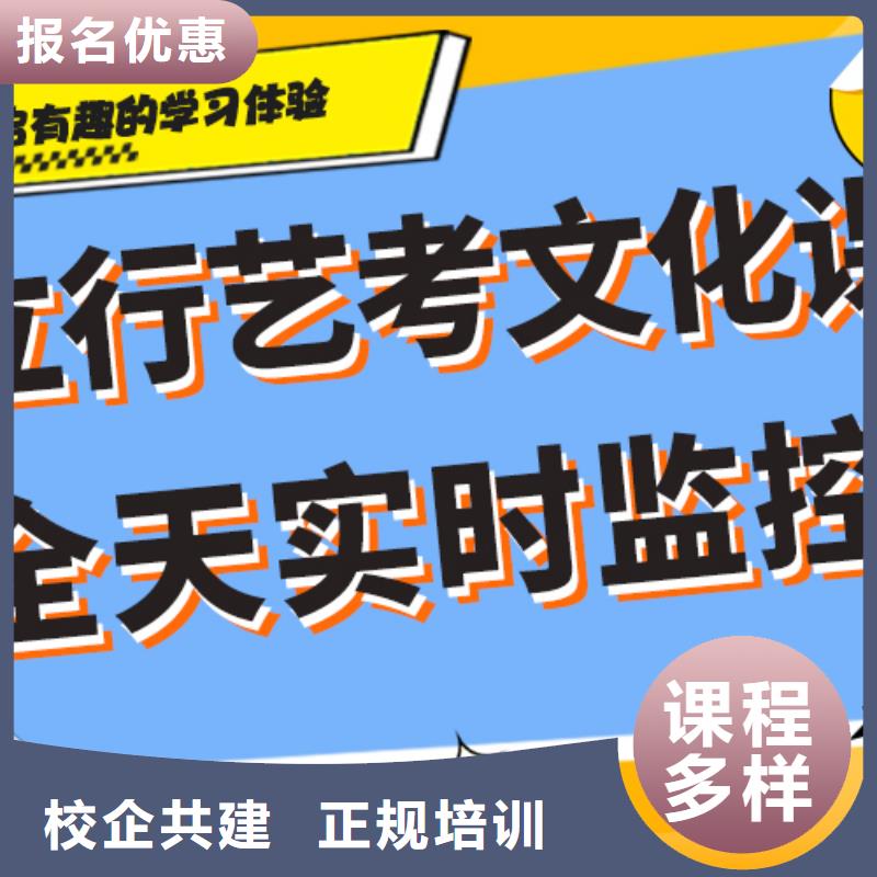 艺考文化课高考语文辅导正规学校