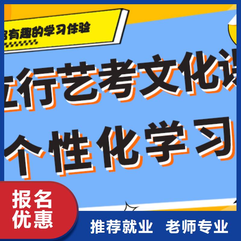 艺考文化课艺术生文化补习免费试学