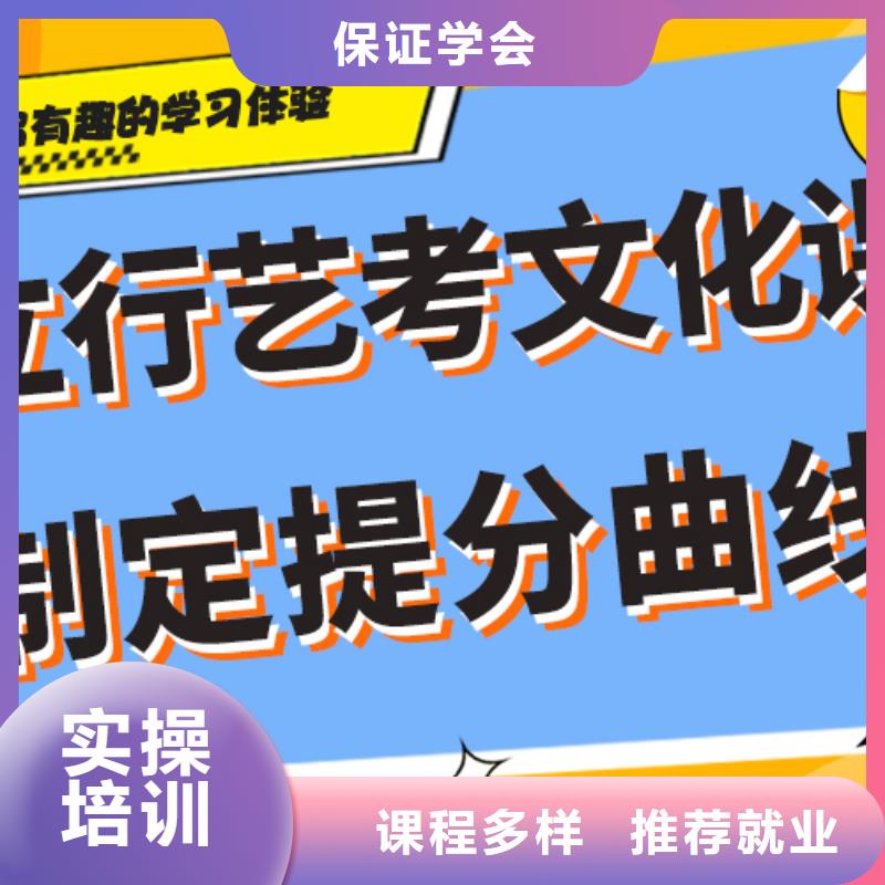 艺考文化课高考辅导机构老师专业
