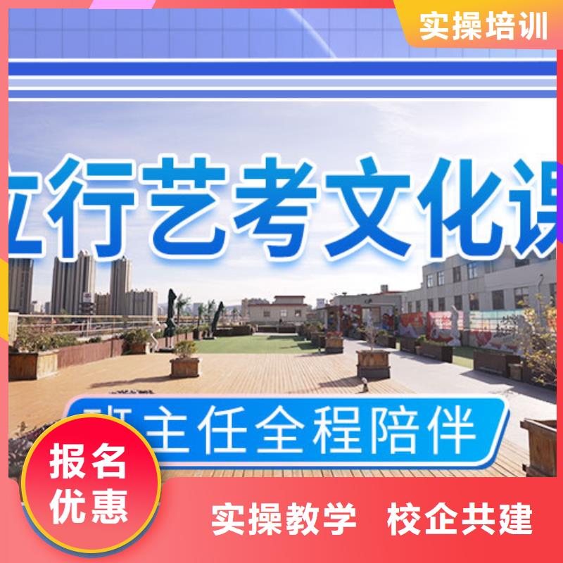 艺考文化课艺术生文化补习免费试学