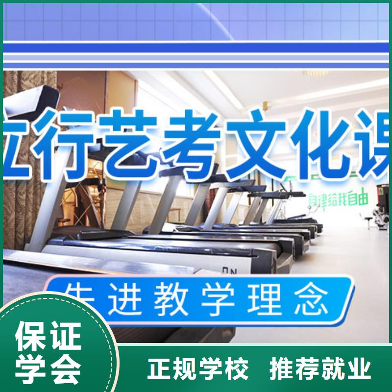 艺考文化课高考语文辅导正规学校