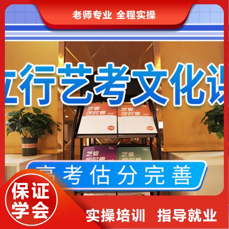 【艺考文化课高考数学辅导老师专业】