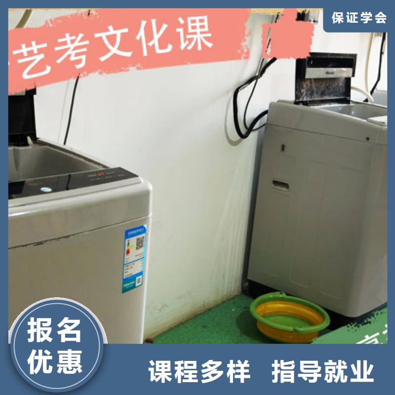 【艺考文化课高考数学辅导老师专业】