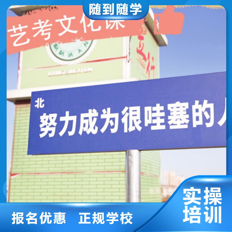艺考文化课艺术专业日常训练正规学校