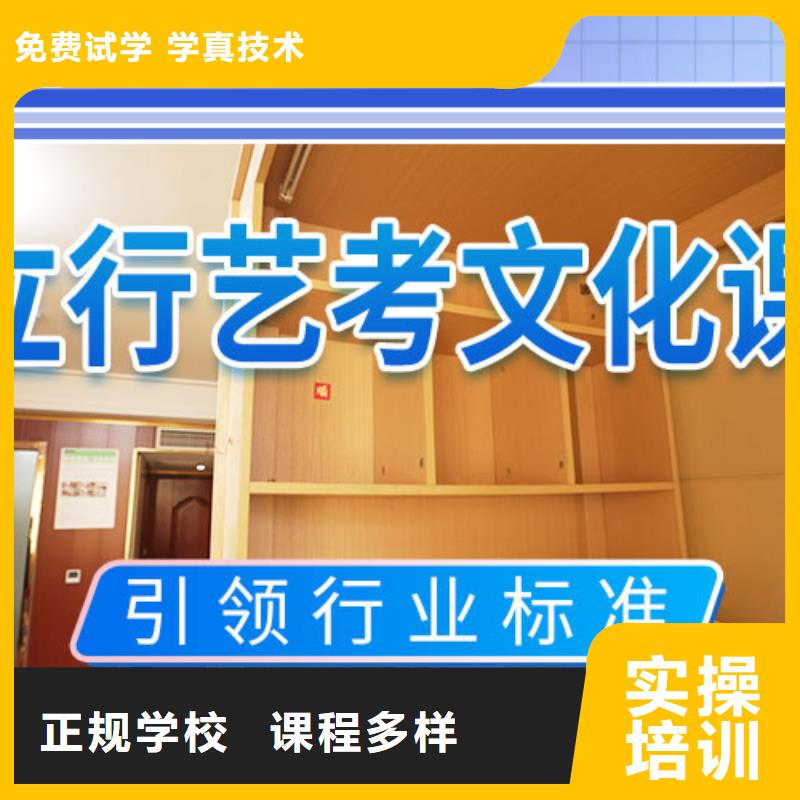 不错的艺术生文化课集训冲刺能不能行？