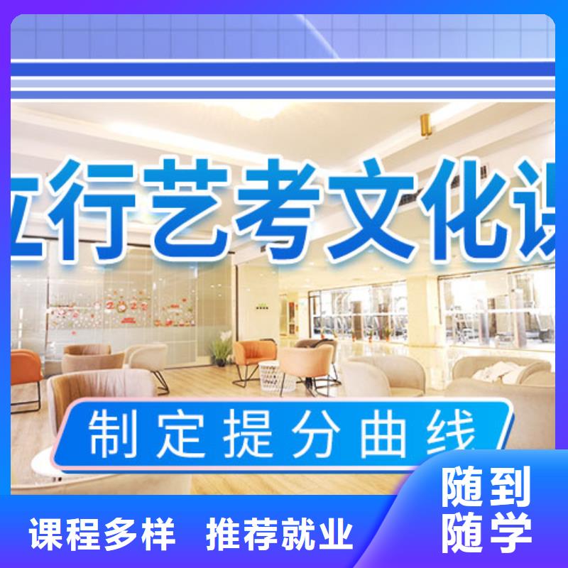 艺考生文化课冲刺高考理论+实操