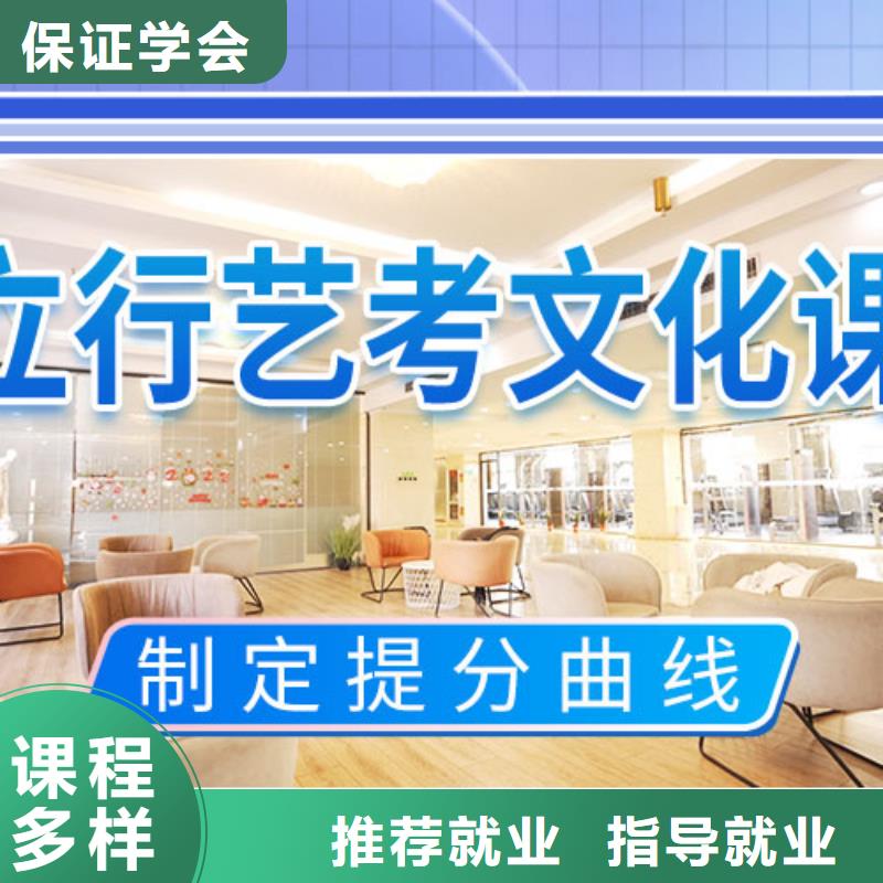 谁知道艺术生文化课培训学校大约多少钱