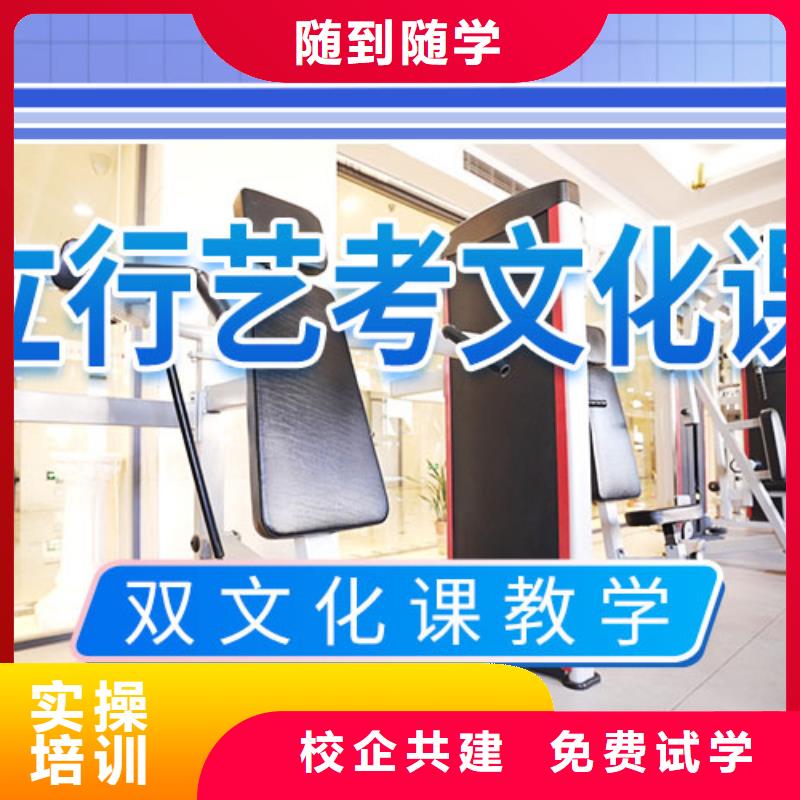 艺考生文化课冲刺艺考培训理论+实操