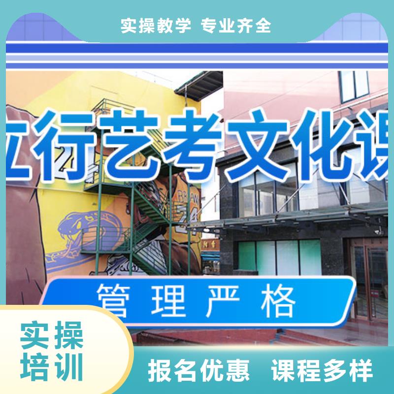 艺考生文化课冲刺艺考文化课冲刺理论+实操