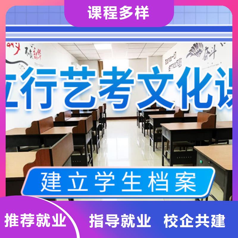 艺考生文化课冲刺-高考语文辅导学真本领