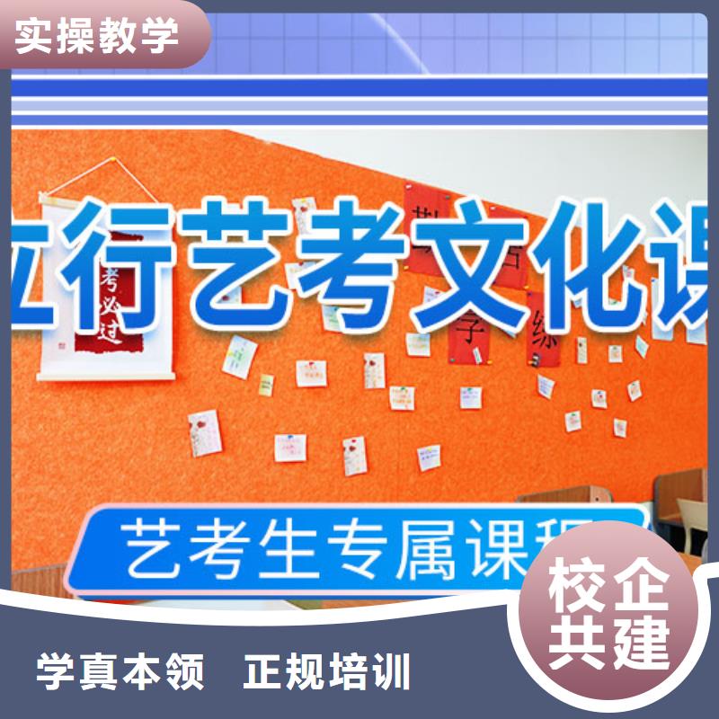 艺考生文化课冲刺高中物理补习老师专业