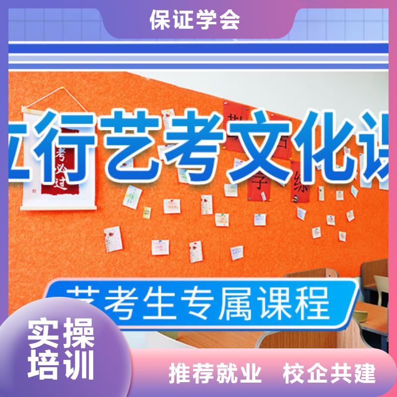 艺考生文化课冲刺艺考培训理论+实操