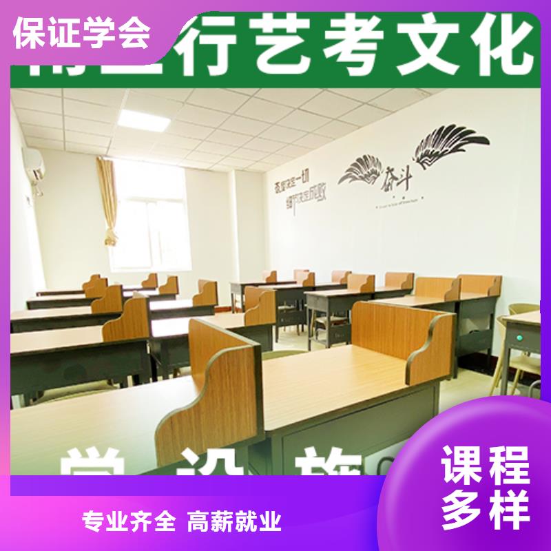艺考生文化课冲刺-【高考小班教学】随到随学