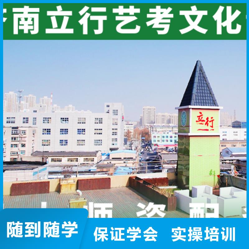 艺考生文化课冲刺-高考语文辅导学真本领